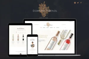 Vignoble Copie Lwsoptimized 300x200